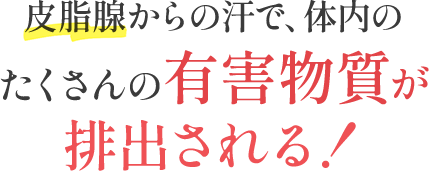 皮脂腺からの汗で、体内のたくさんの有害物質が排出される！